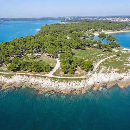 Alice Close To Centre - Happy פולה